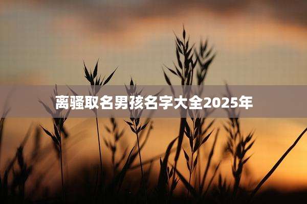 离骚取名男孩名字大全2025年