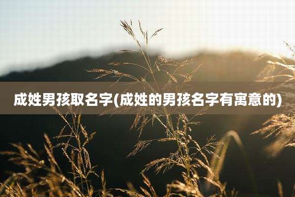 成姓男孩取名字(成姓的男孩名字有寓意的)