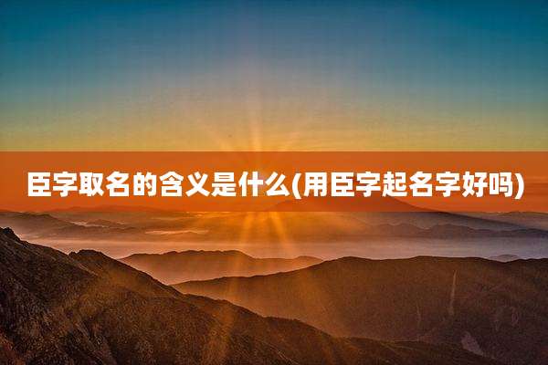 臣字取名的含义是什么(用臣字起名字好吗)