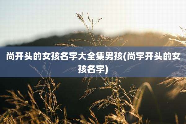 尚开头的女孩名字大全集男孩(尚字开头的女孩名字)
