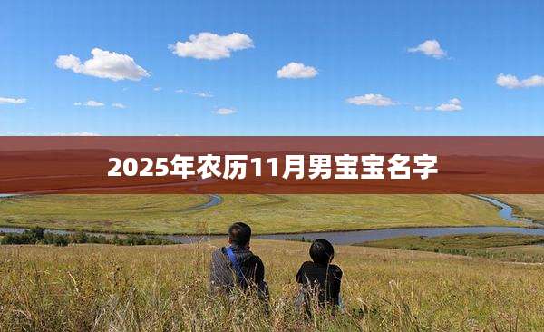2025年农历11月男宝宝名字