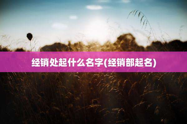 经销处起什么名字(经销部起名)