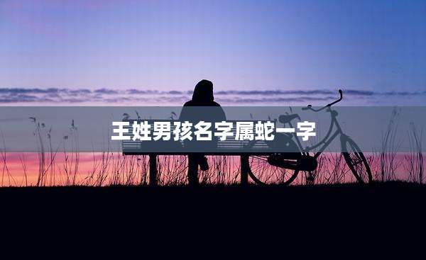 王姓男孩名字属蛇一字