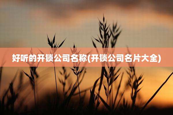 好听的开锁公司名称(开锁公司名片大全)