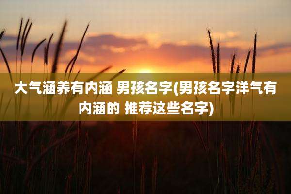 大气涵养有内涵 男孩名字(男孩名字洋气有内涵的 推荐这些名字)