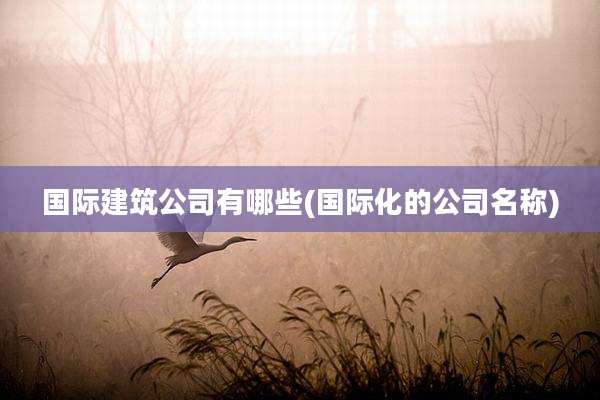国际建筑公司有哪些(国际化的公司名称)