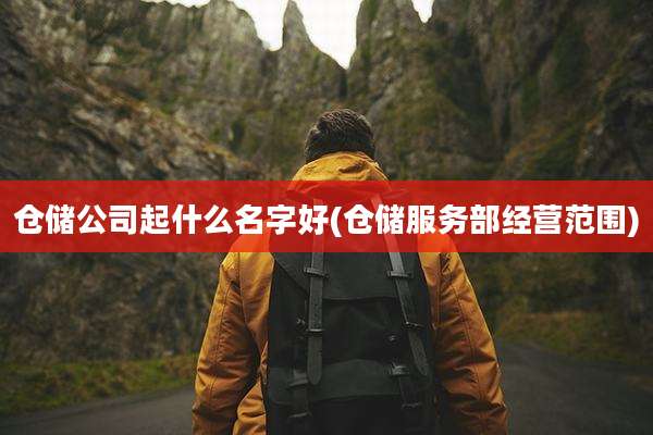 仓储公司起什么名字好(仓储服务部经营范围)