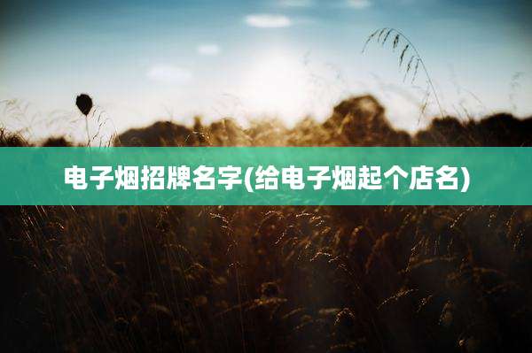 电子烟招牌名字(给电子烟起个店名)