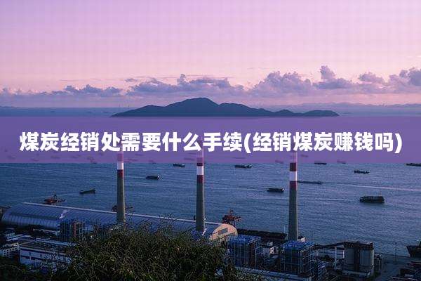煤炭经销处需要什么手续(经销煤炭赚钱吗)