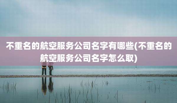 不重名的航空服务公司名字有哪些(不重名的航空服务公司名字怎么取)