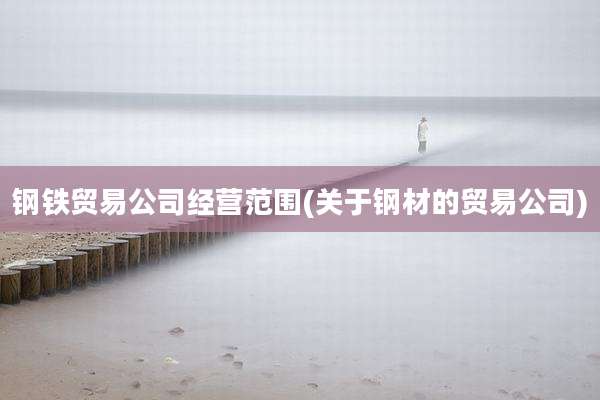 钢铁贸易公司经营范围(关于钢材的贸易公司)