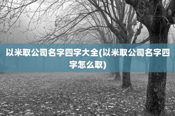 以米取公司名字四字大全(以米取公司名字四字怎么取)