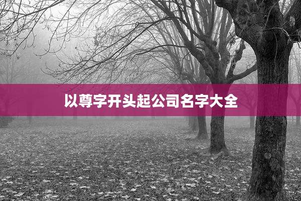以尊字开头起公司名字大全