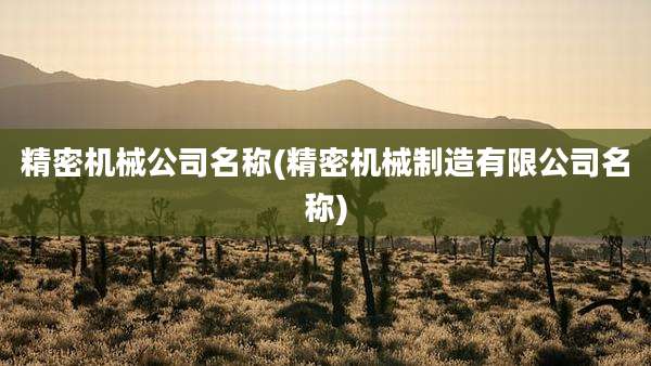 精密机械公司名称(精密机械制造有限公司名称)
