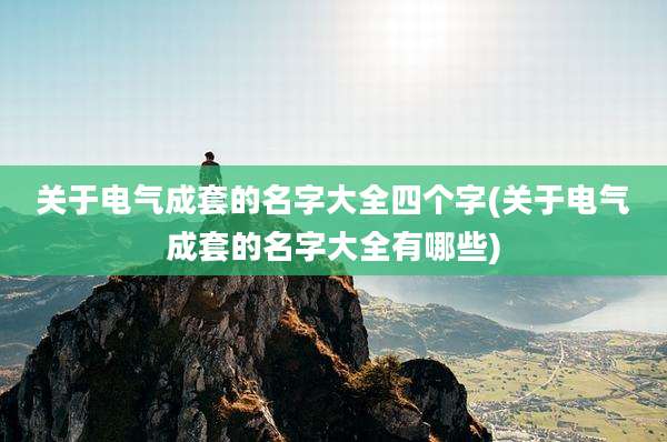 关于电气成套的名字大全四个字(关于电气成套的名字大全有哪些)