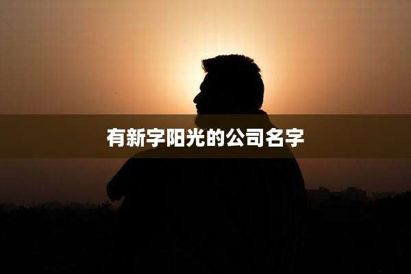 有新字阳光的公司名字