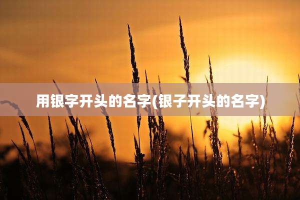 用银字开头的名字(银子开头的名字)