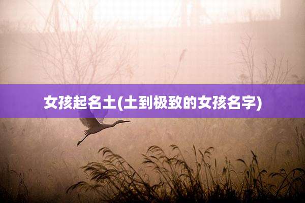 女孩起名土(土到极致的女孩名字)