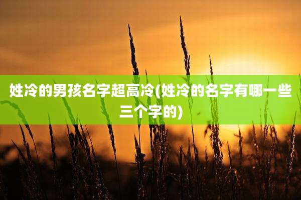 姓冷的男孩名字超高冷(姓冷的名字有哪一些三个字的)