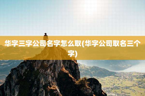 华字三字公司名字怎么取(华字公司取名三个字)