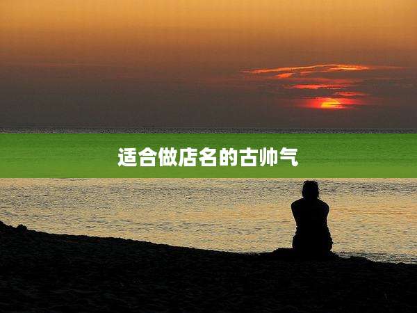适合做店名的古帅气