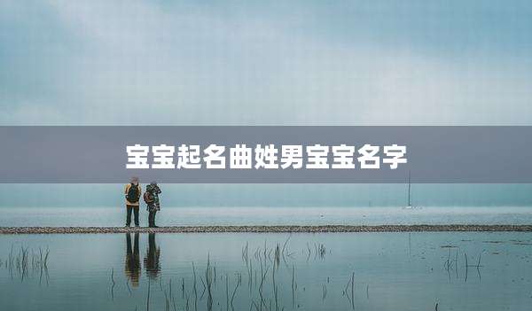 宝宝起名曲姓男宝宝名字