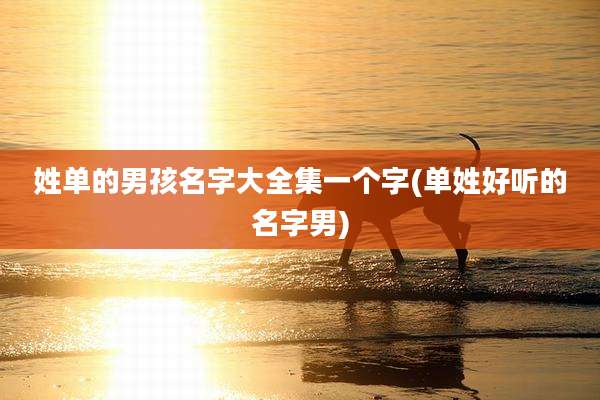 姓单的男孩名字大全集一个字(单姓好听的名字男)