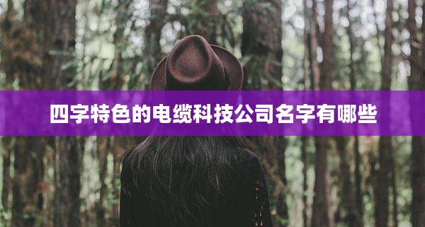 四字特色的电缆科技公司名字有哪些