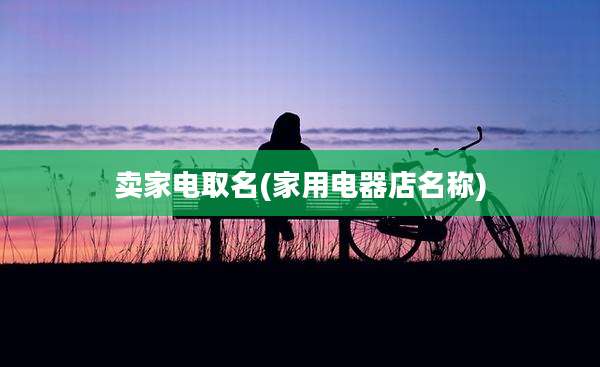 卖家电取名(家用电器店名称)