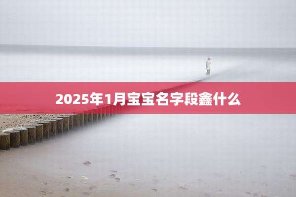 2025年1月宝宝名字段鑫什么