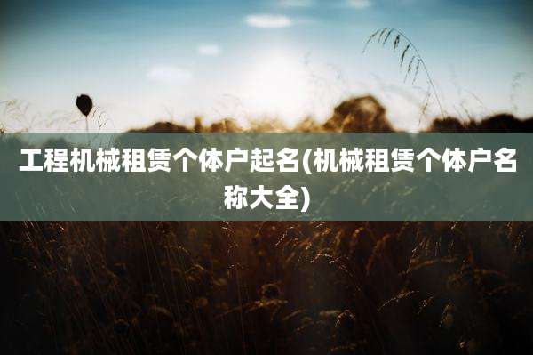 工程机械租赁个体户起名(机械租赁个体户名称大全)