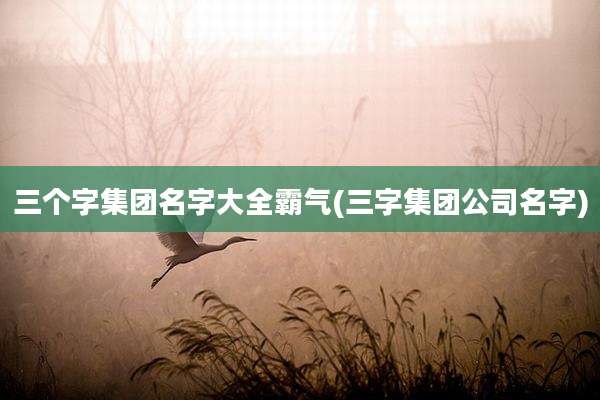 三个字集团名字大全霸气(三字集团公司名字)