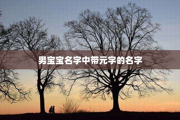 男宝宝名字中带元字的名字