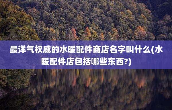 最洋气权威的水暖配件商店名字叫什么(水暖配件店包括哪些东西?)