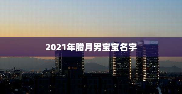 2021年腊月男宝宝名字