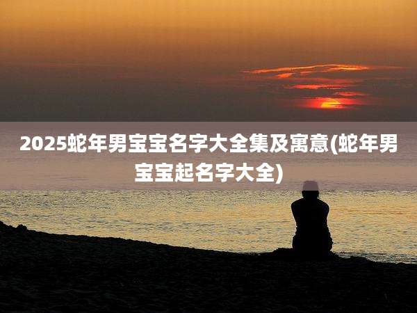 2025蛇年男宝宝名字大全集及寓意(蛇年男宝宝起名字大全)