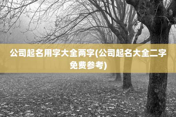 公司起名用字大全两字(公司起名大全二字免费参考)