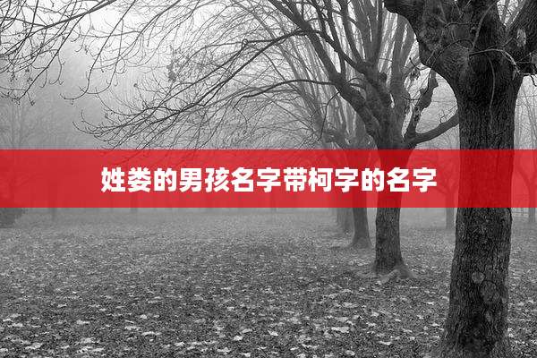 姓娄的男孩名字带柯字的名字