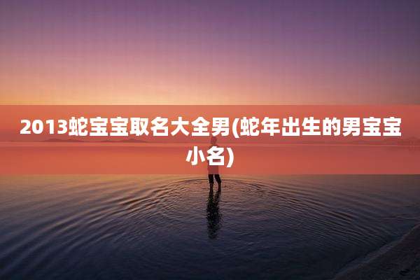 2013蛇宝宝取名大全男(蛇年出生的男宝宝小名)