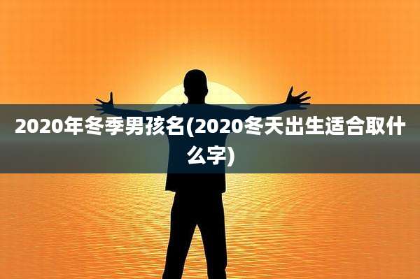 2020年冬季男孩名(2020冬天出生适合取什么字)