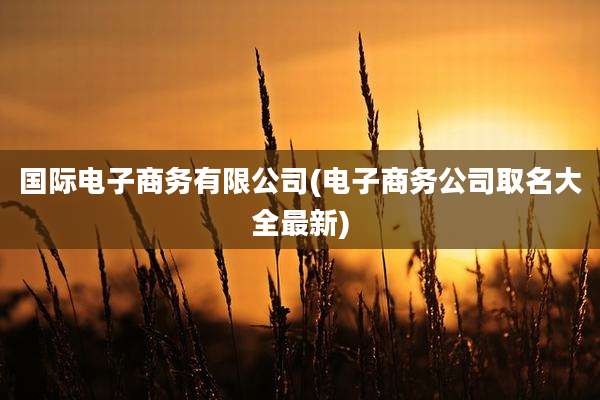国际电子商务有限公司(电子商务公司取名大全最新)