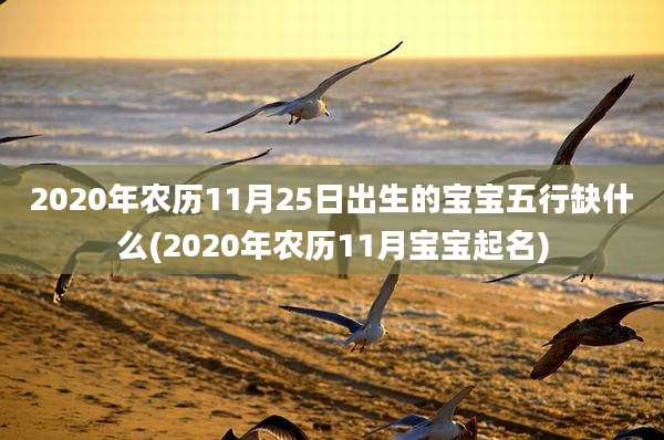 2020年农历11月25日出生的宝宝五行缺什么(2020年农历11月宝宝起名)