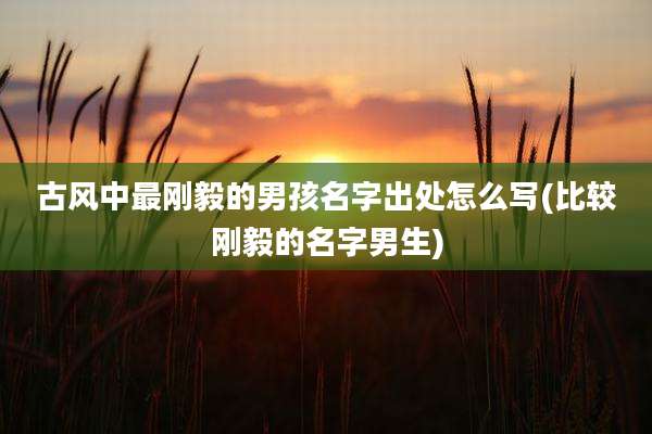 古风中最刚毅的男孩名字出处怎么写(比较刚毅的名字男生)