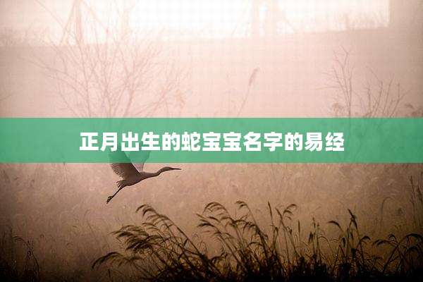 正月出生的蛇宝宝名字的易经
