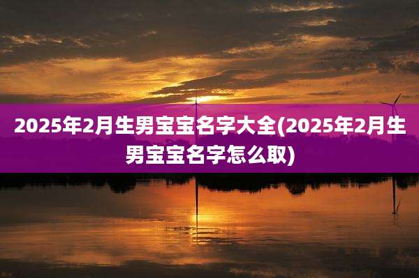 2025年2月生男宝宝名字大全(2025年2月生男宝宝名字怎么取)