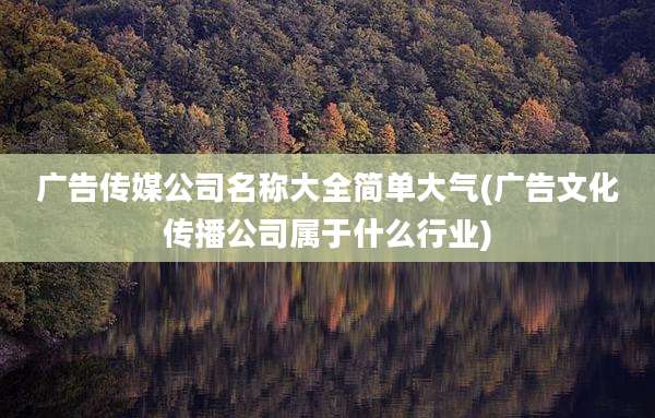 广告传媒公司名称大全简单大气(广告文化传播公司属于什么行业)