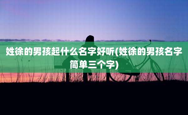 姓徐的男孩起什么名字好听(姓徐的男孩名字简单三个字)