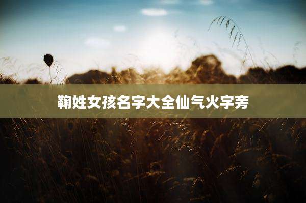 鞠姓女孩名字大全仙气火字旁