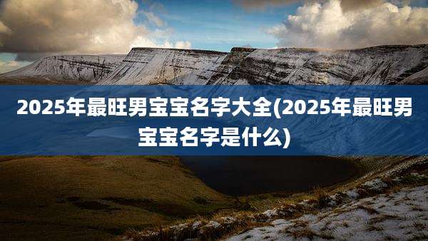 2025年最旺男宝宝名字大全(2025年最旺男宝宝名字是什么)