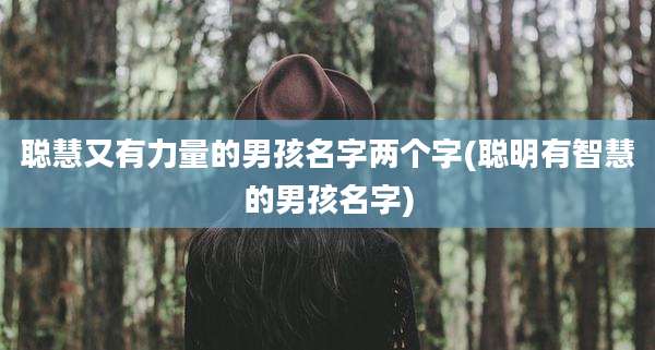 聪慧又有力量的男孩名字两个字(聪明有智慧的男孩名字)